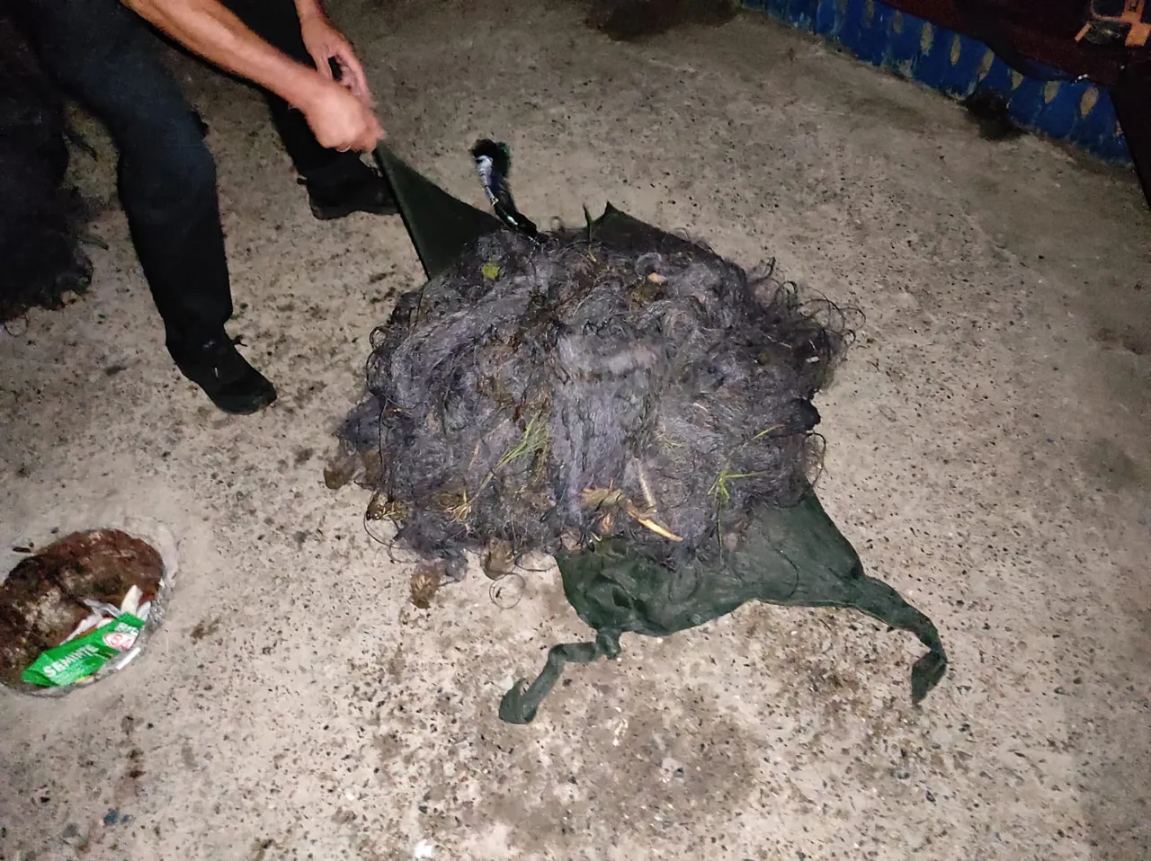 Четверо граждан Молдовы подозревают в незаконной ловле рыбы на границе