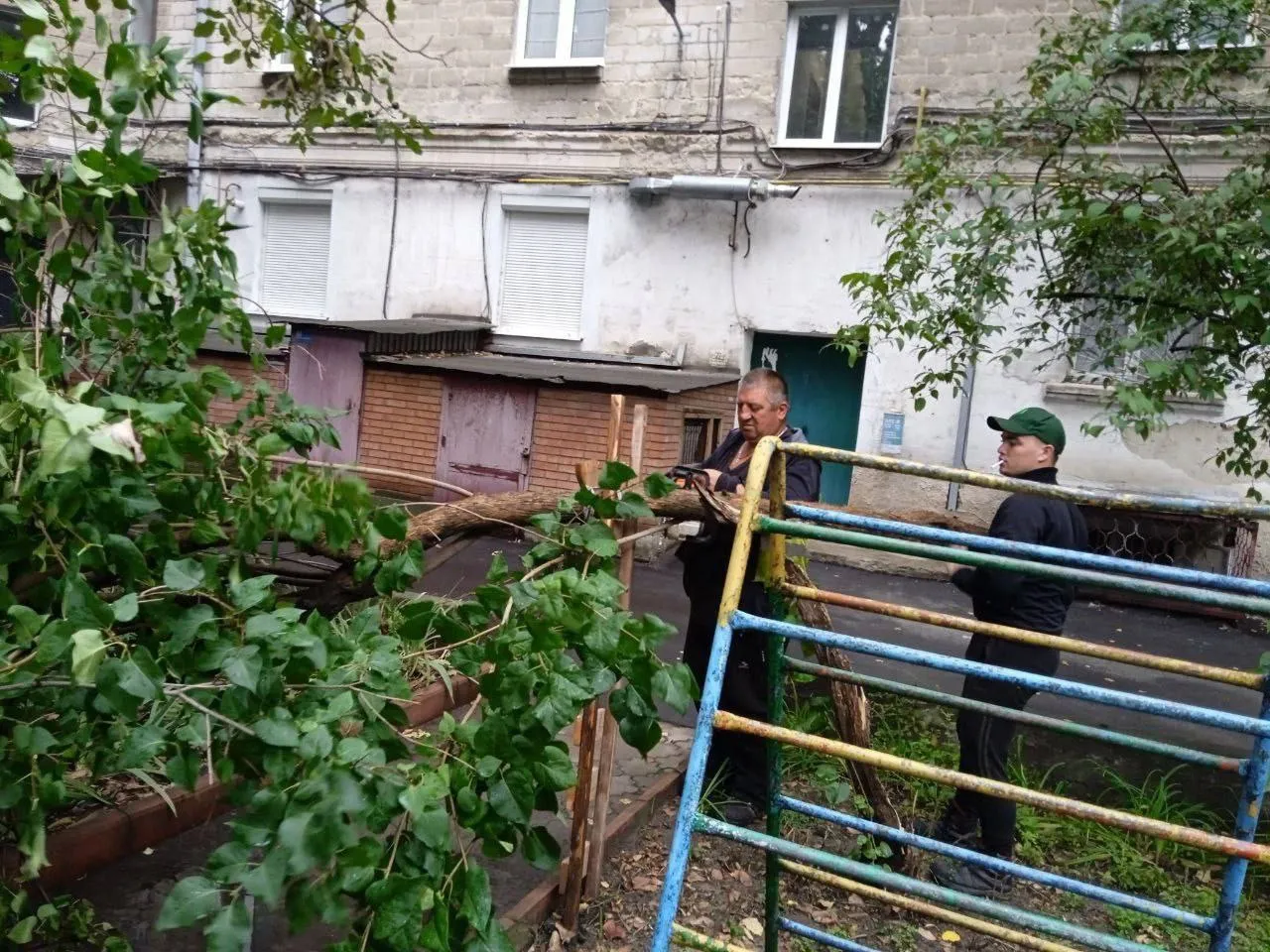 Из-за непогоды в столице были повалены деревья, улицы затоплены