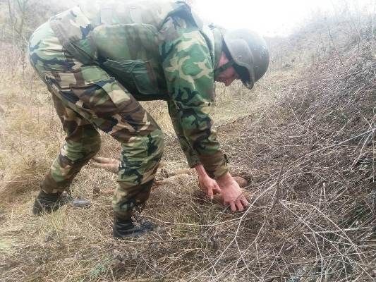 Саперы обезвредили более 20 взрывоопасных объектов в Каушанском районе