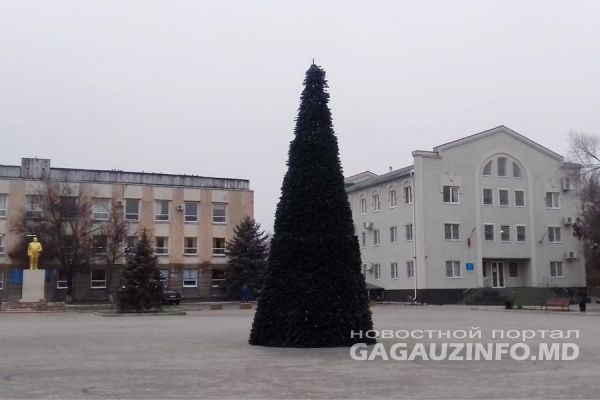 В Чадыр-Лунге установили 9-метровую новогоднюю ель