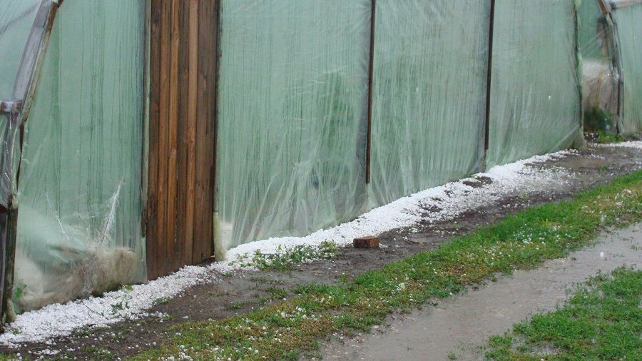 Дождь с градом прошел в ряде населенных пунктов