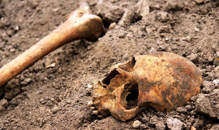 Imagini ștrașnice în centrul Chișinăului. Craniile și oasele umane dintr-un cimitir părăsit, furate și mâncate de maidanezi