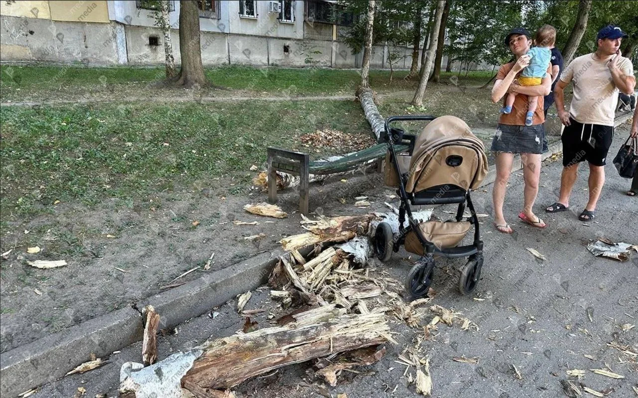 В Кишиневе дерево упало на скамейку, на которой сидела мать с ребенком