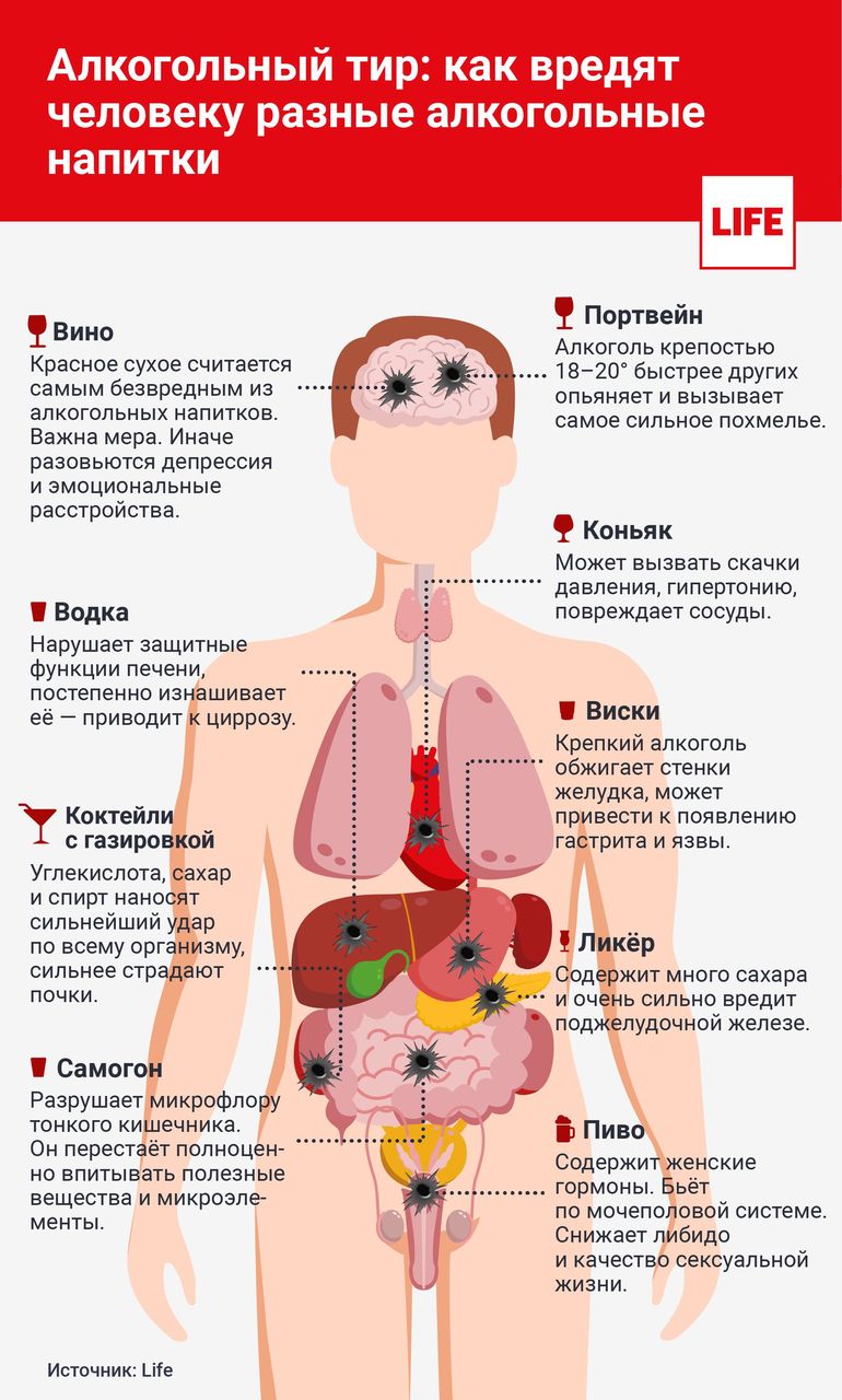 В инфографике наглядно показали, как алкоголь бьет по организму