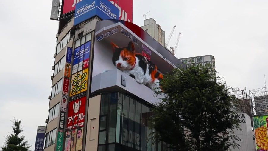 На стене японского торгового центра поселился гигантский 3D-кот