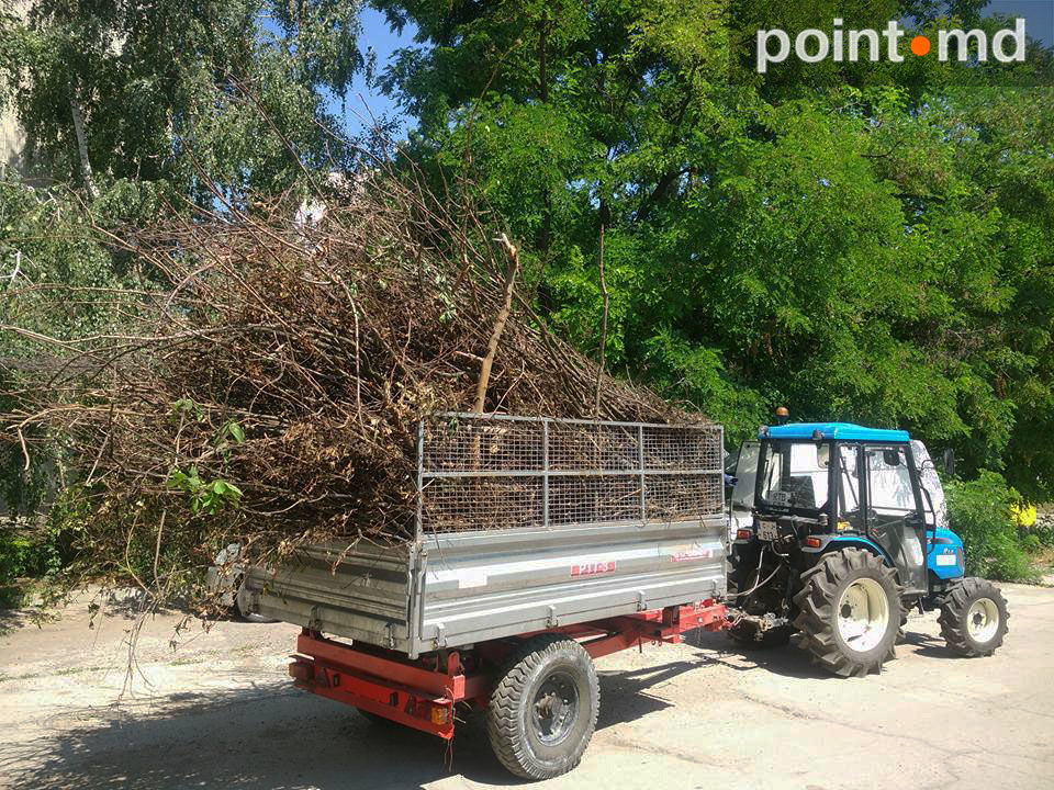 На стадион жилого городка Аэропорта свозят ветки