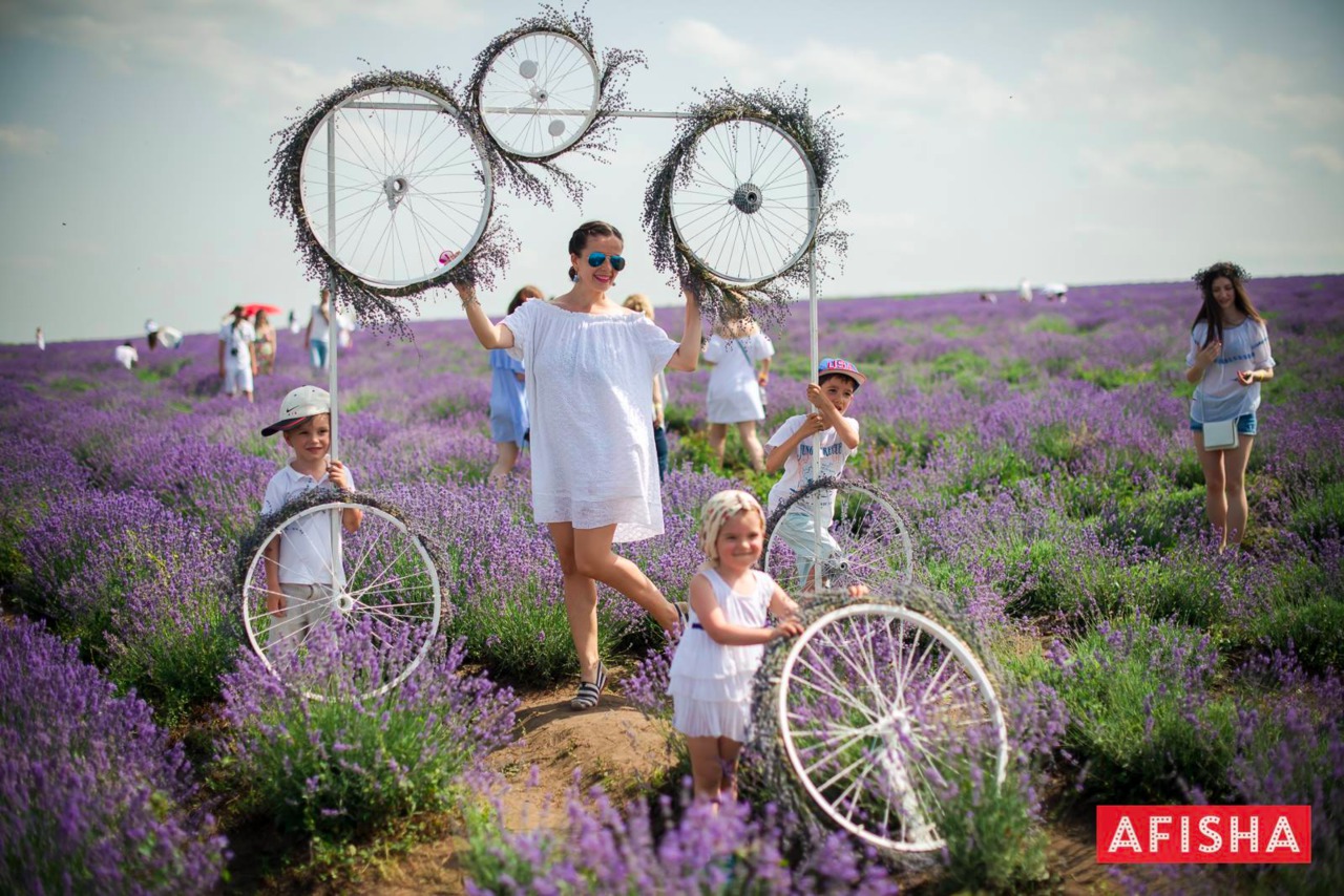 В Молдове состоялся второй Lavender Fest ®