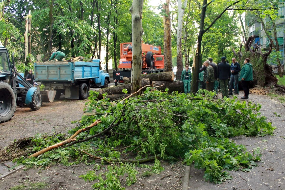 В Рыбнице устранили последствия прошедшей грозы