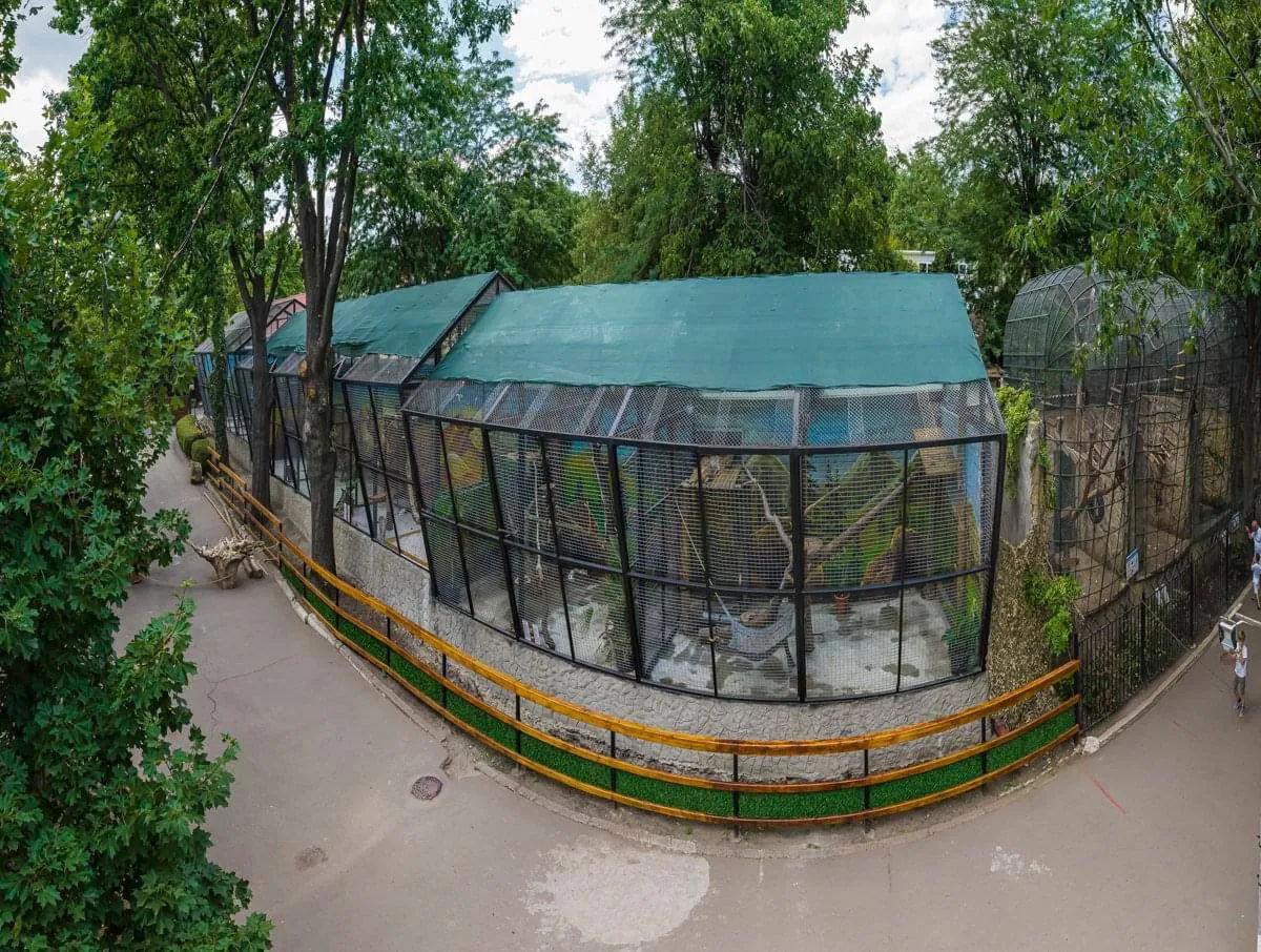 Примэрия Кишинева инвестировала около 18 млн леев в модернизацию зоопарка