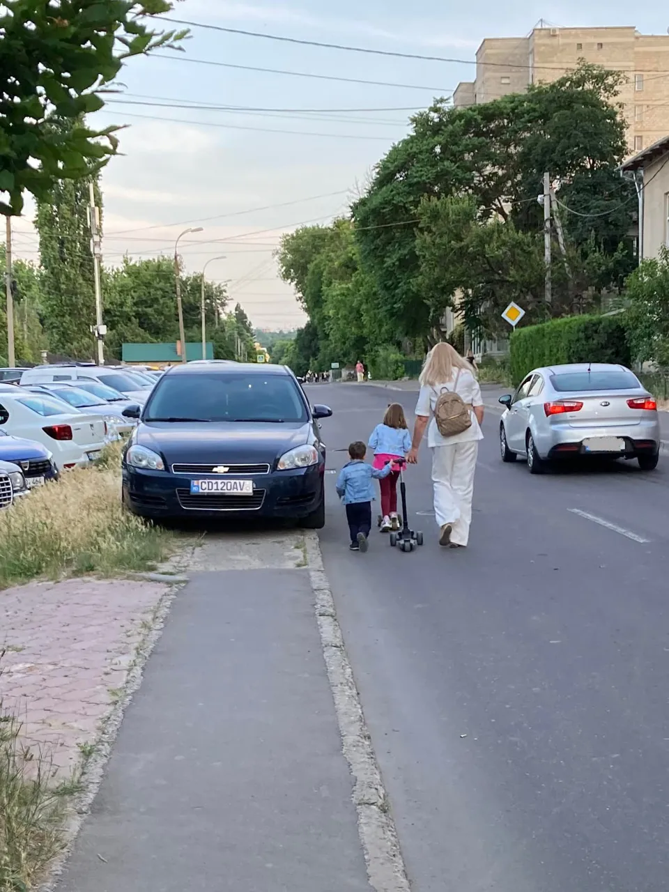 Автомобиль с посольскими номерами перекрыл тротуар у Дендрария