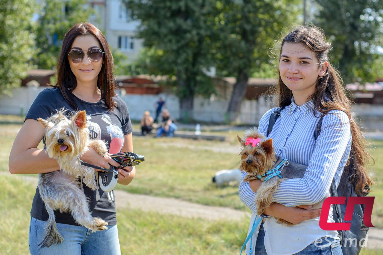Главный трофей выставки собак остался в Бельцах