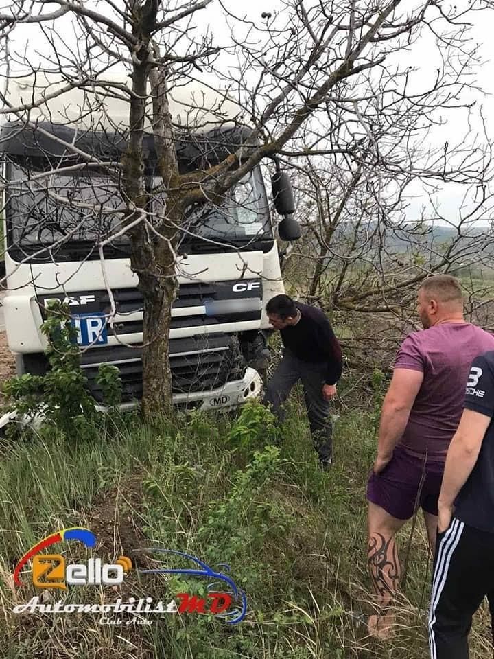 Водитель грузовика съехал с трассы и врезался в дерево