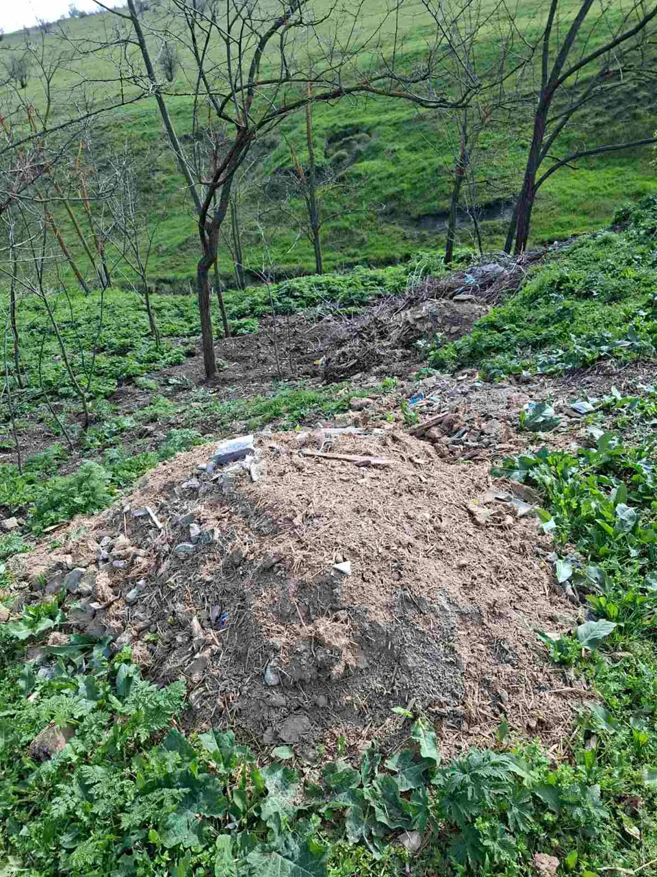 В Леовском районе выявили незаконные свалки и сброс сточных вод