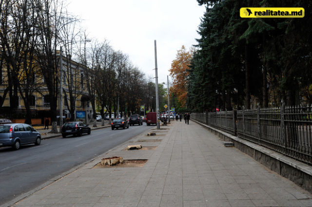 Столичная улица Бэнулеску-Бодони "облысела" после обрезки 18 деревьев