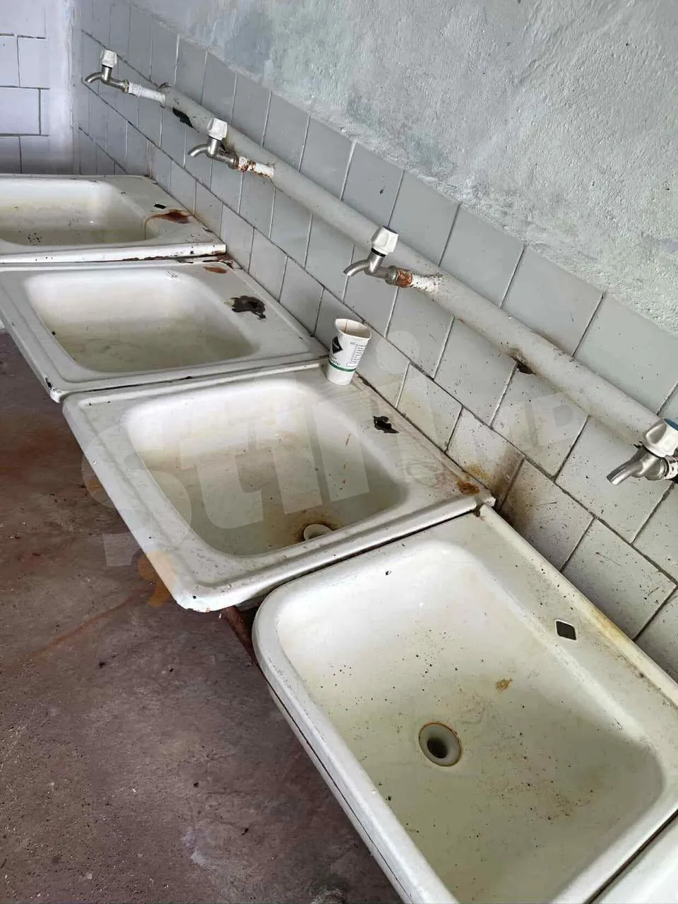 Viitorii biologi se plâng că fac practică în condiții inumane