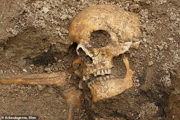 В Швеции нашли два редких погребальных корабля викингов