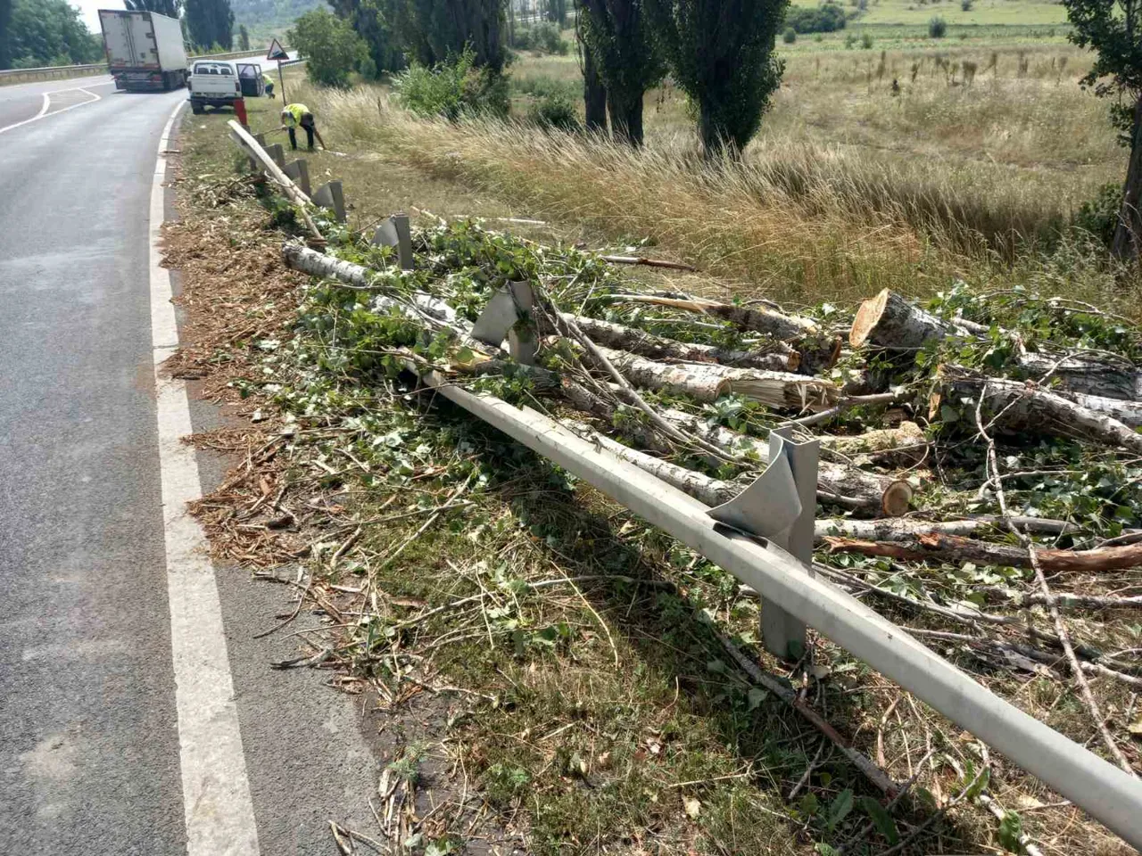 Дорожники убирают с трасс Молдовы поваленные ураганом деревья