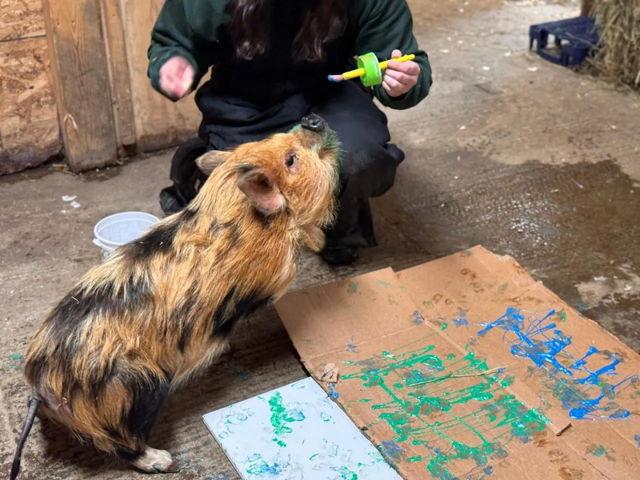Tablouri pictate de animale, scoase la o licitație în New York