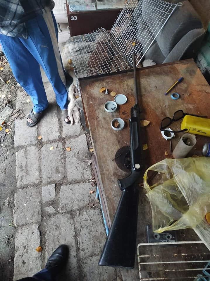 Возле озера в парке La Izvor найдены оружие и браконьерские снасти