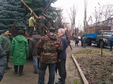 Появились фотографии елки, которую Сильвия Раду купит для кишиневцев