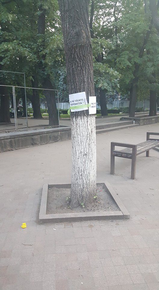 В Кишиневе граждане защищают деревья от Киртоакэ