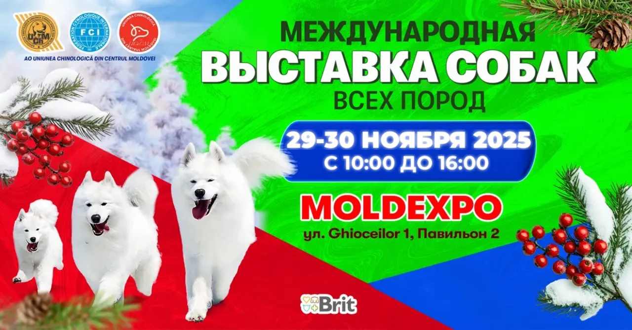В Кишиневе состоится выставка собак