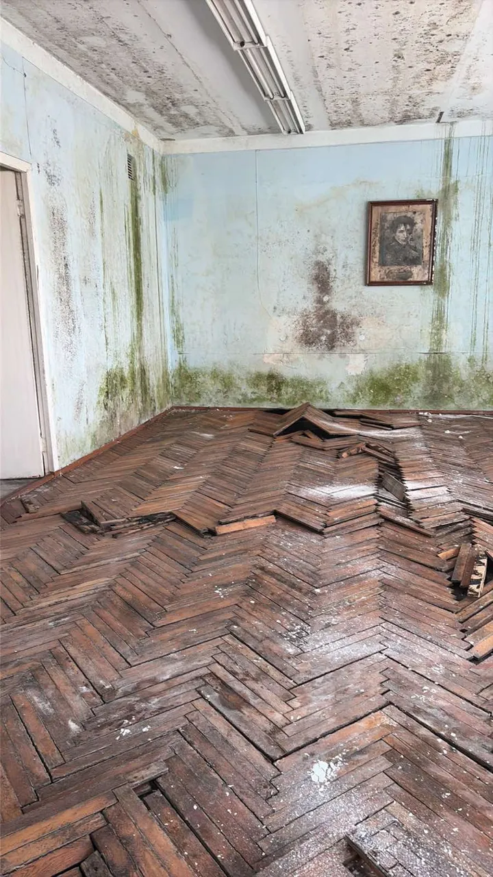 Плесень и разрушенный паркет: бывший Аграрный университет приходит в упадок