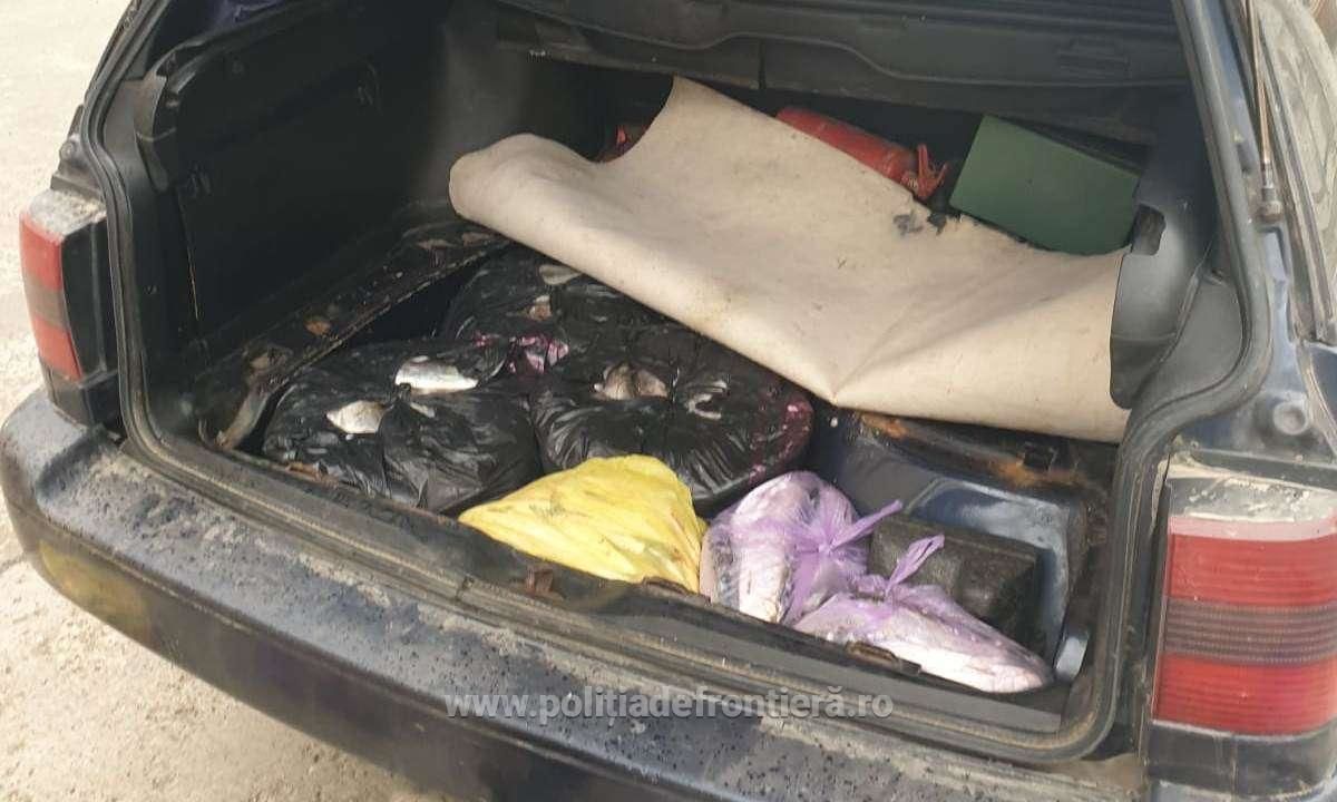 Румынские пограничники изъяли у молдаванина 53 килограмма рыбы без документов