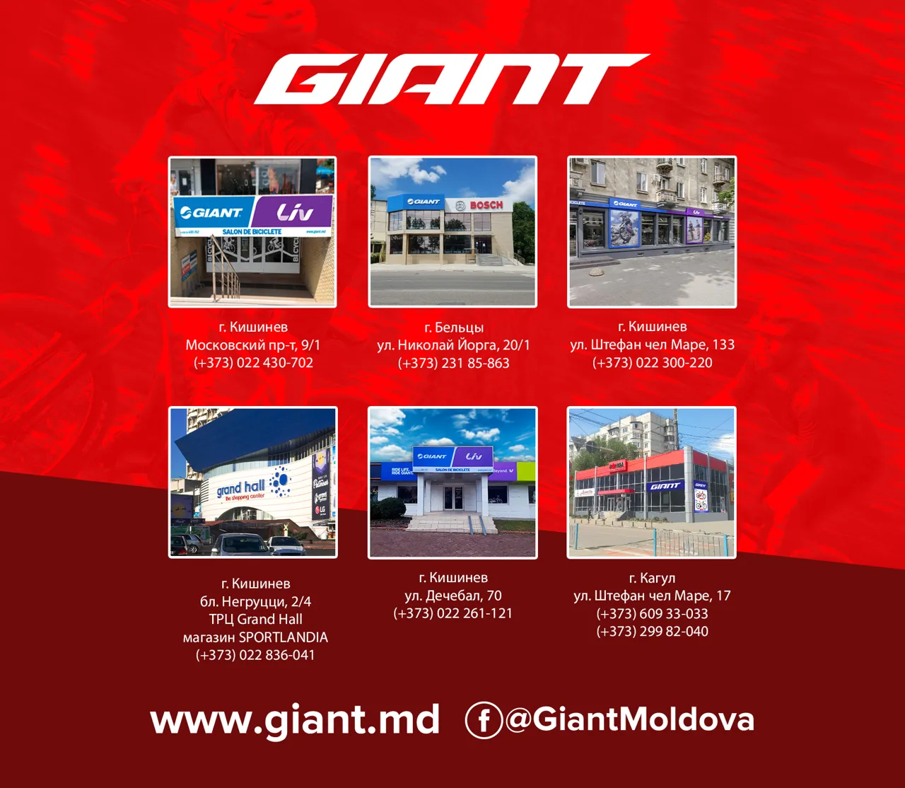 Giant: Новогодние скидки до -50%
