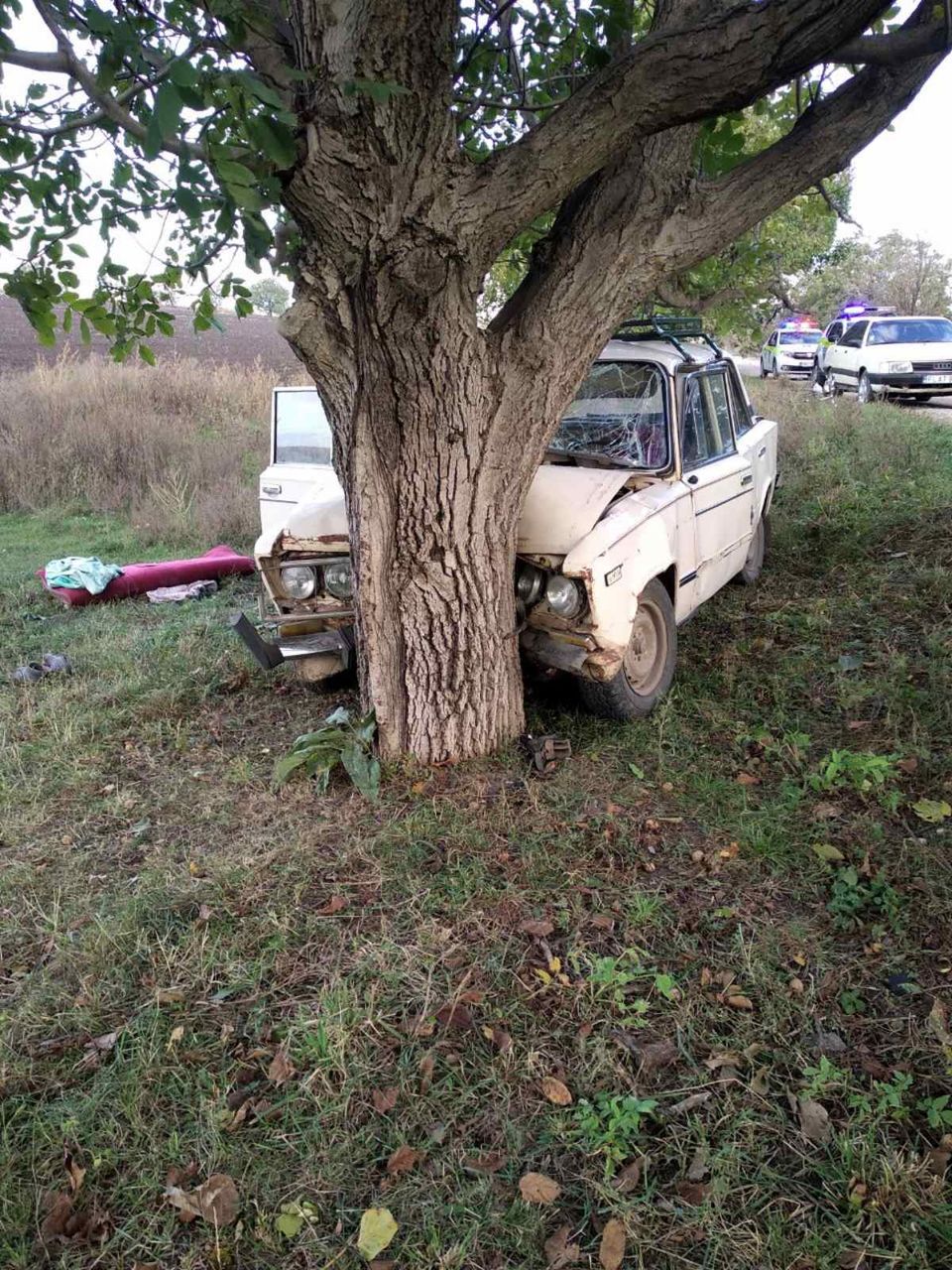 В Фалештском районе автомобиль врезался в дерево