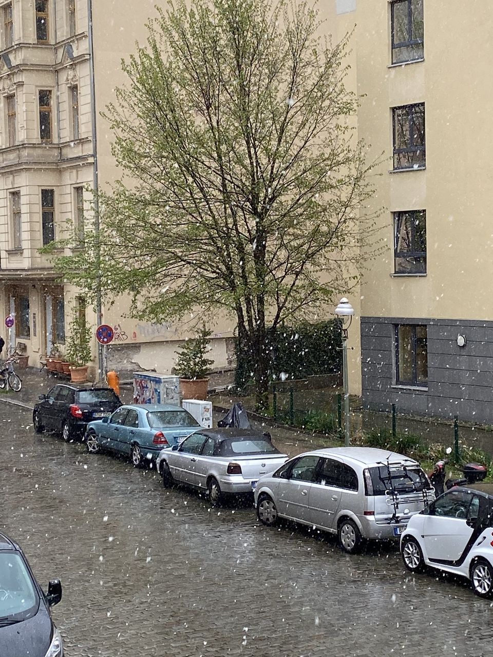 В Берлине выпал снег