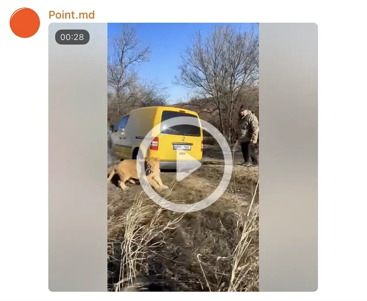 Инспекторат по охране окружающей среды о видео с львятами: Нарушение закона