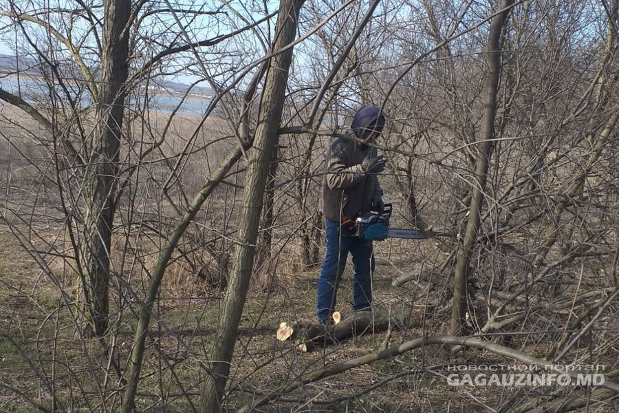 В Казаклии пенсионерам выдают дрова по льготным ценам