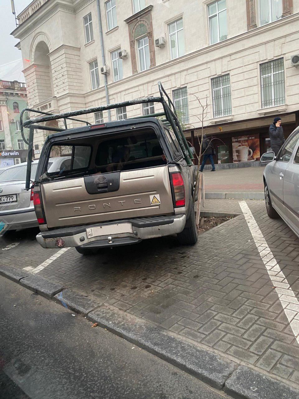 В столице водитель припарковал авто, наехав на молодое дерево