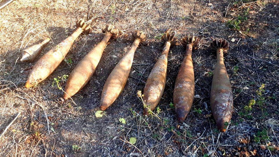 В лесополосе в Хынчештах нашли шесть снарядов времен ВОВ