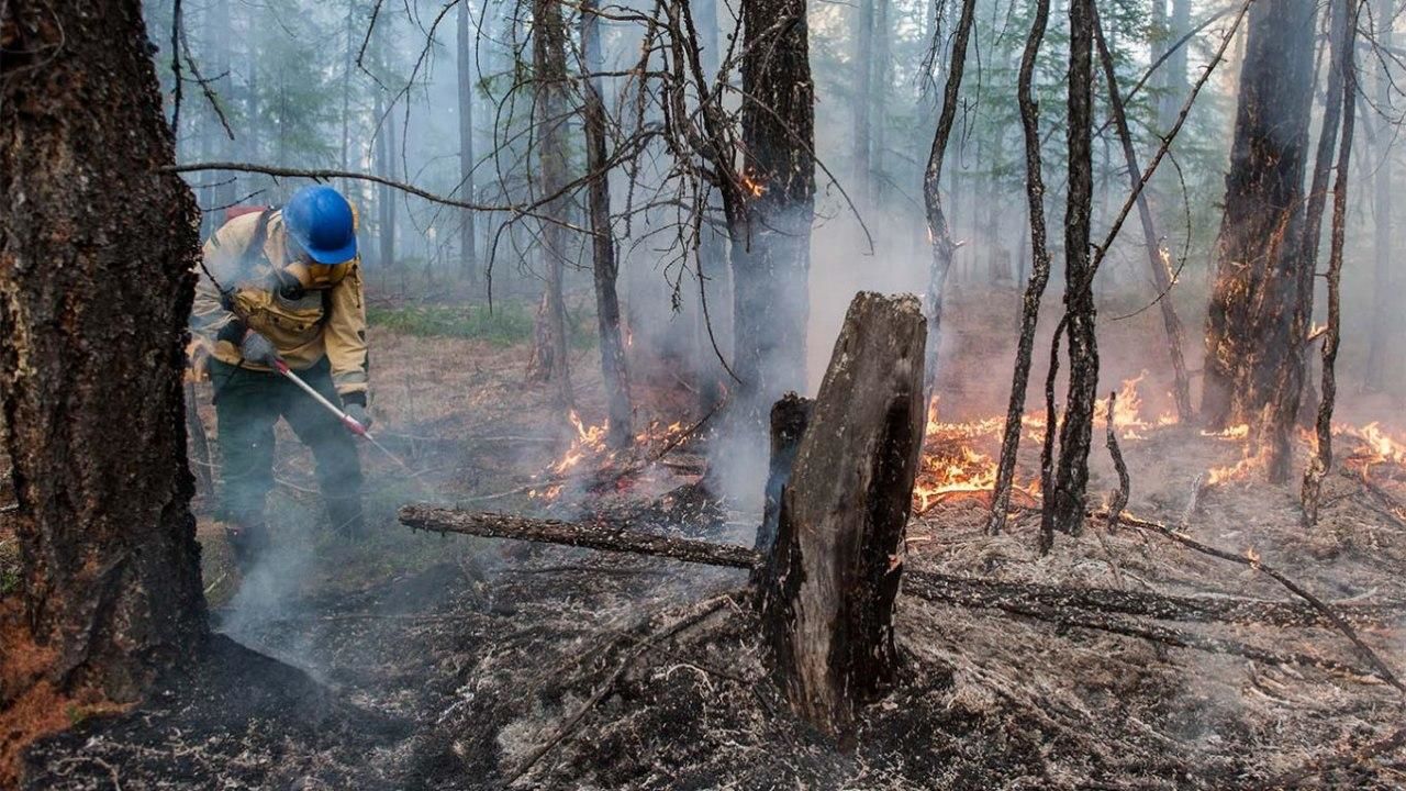 Метеорологи назвали причину крупных лесных пожаров в Арктике