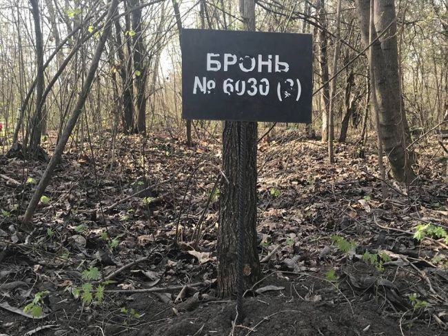 Жители Бельц создали кладбище для домашних животных