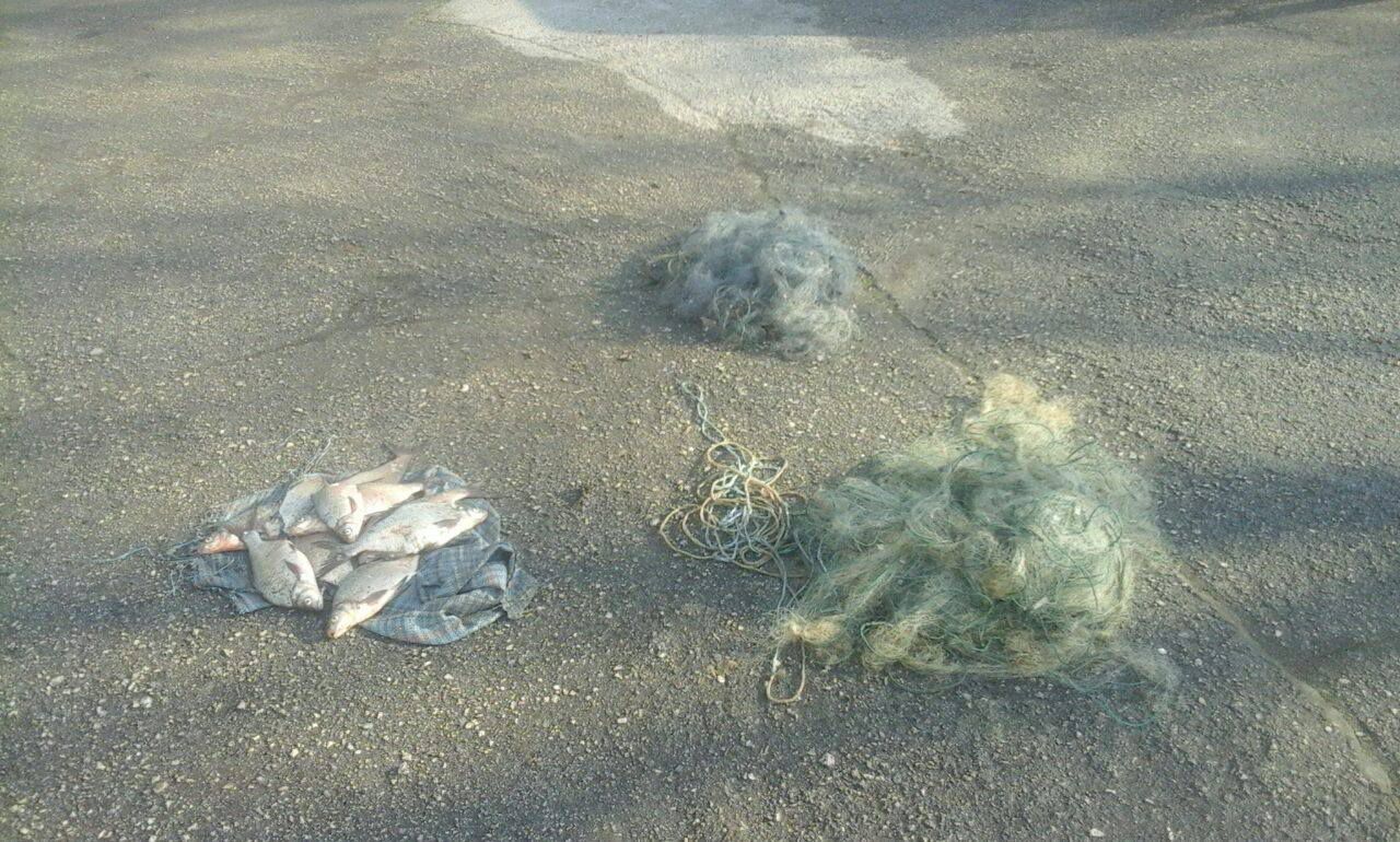 Cinci pescari prinşi cu 150 kg de peşte și ustensile interzise prin lege