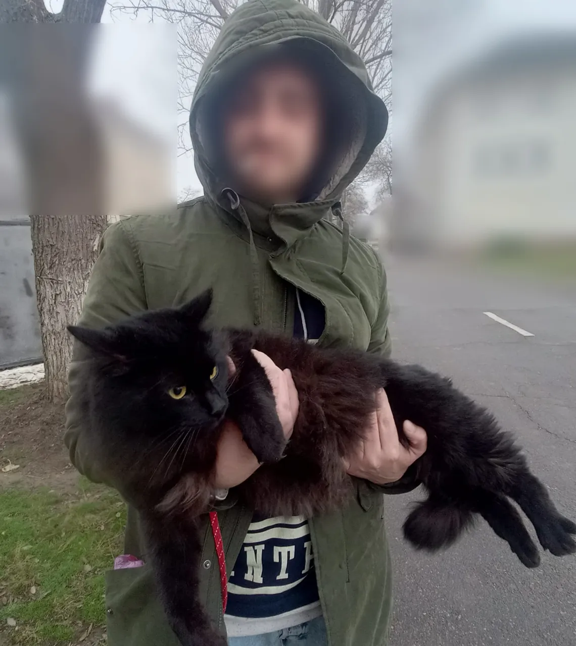 Житель Украины пытался незаконно пробраться в Молдову со своим любимым котом