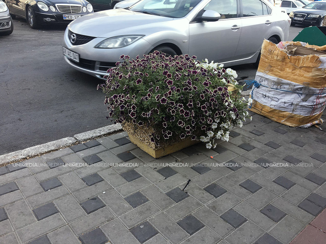 В районе Центрального рынка появились скамейки, тротуарная плитка и цветы