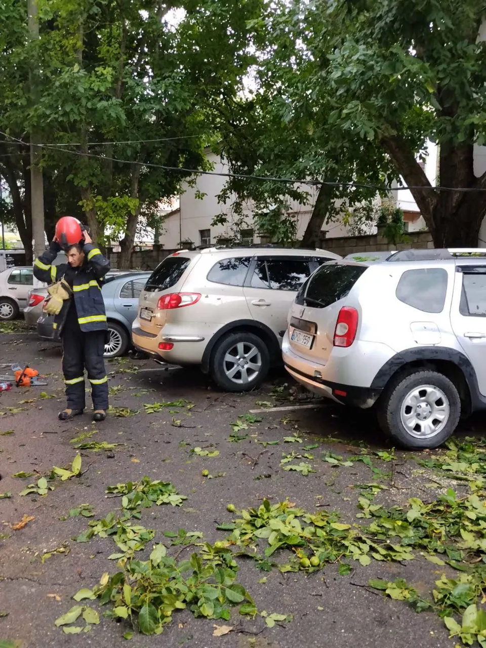 Непогода в Унгенах: около 100 поваленных деревьев и шесть поврежденных автомобилей