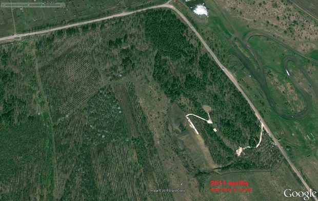 Păduri, rămase „pleșuve” după darea în arendă. Cum s-a schimbat o fâșie forestieră din preajma s. Colonița timp de trei ani