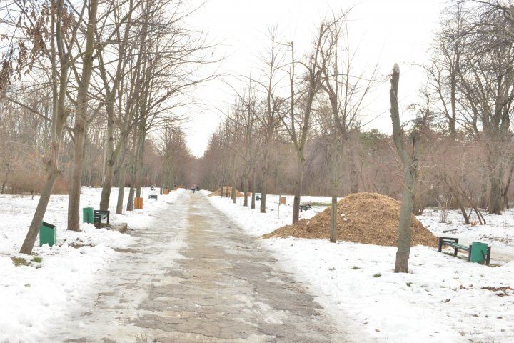 Parcul Valea Trandafirilor ar putea căpăta un nou aspect. Control inopinant al primarului Silvia Radu