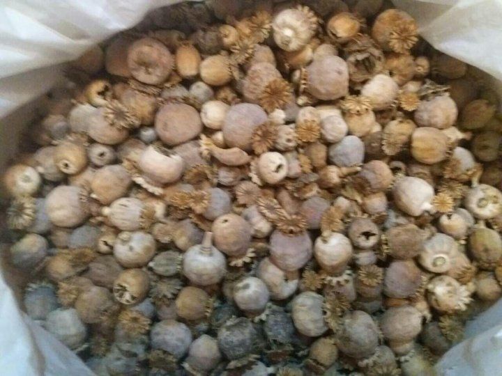Operațiune fără precedent: 71 de percheziţii şi 19 persoane reţinute într-un dosar pentru trafic de droguri