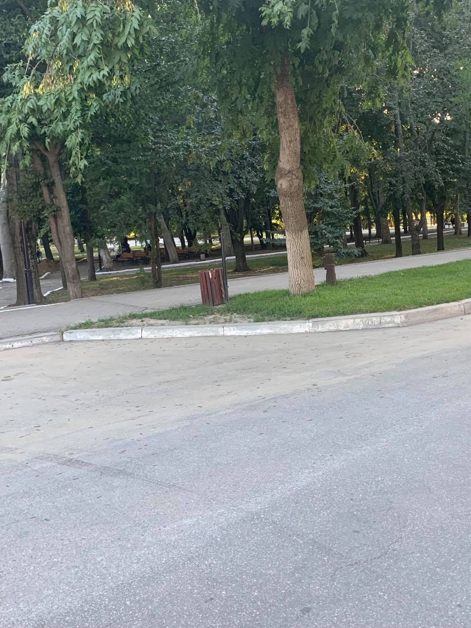 В Страшенах две нетрезвые девушки сломали городские урны