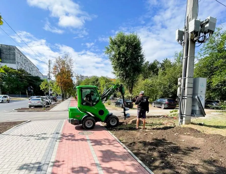 Chișinăul verde: O stradă din Capitală prinde viață cu o nouă alee de copaci