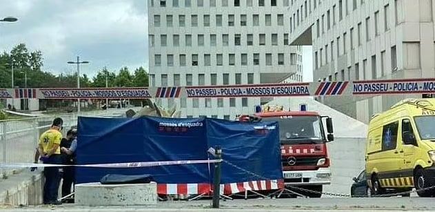 В Испании в статуе динозавра нашли труп мужчины