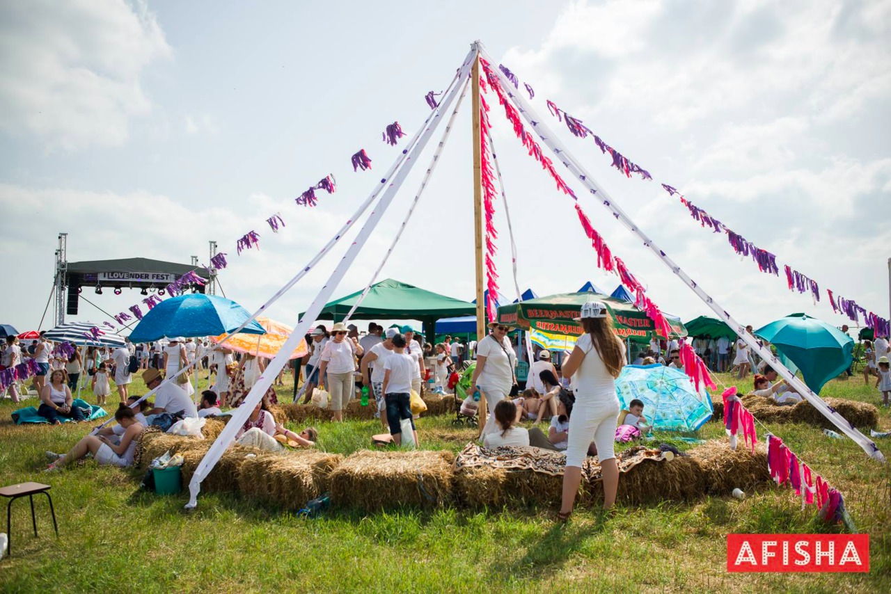 В Молдове состоялся второй Lavender Fest ®