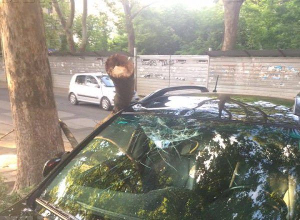 В Кишиневе упавшая ветка повредила автомобиль