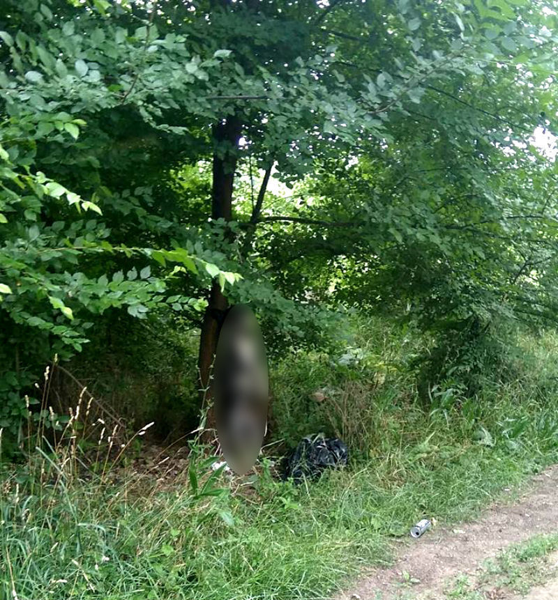 В Кишиневе прохожие обнаружили повешенную собаку
